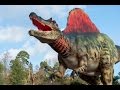 See the Gigantic New Spinosaurus @ West Midland Safari Park