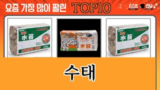 가장 많이 팔린 수태 추천 Top10!