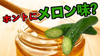 キュウリ＋蜂蜜＝メロン味の方程式を今さら検証してみた