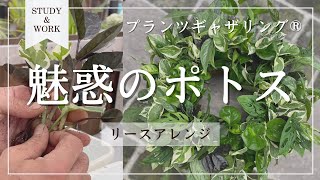 【知らなきゃ損‼︎】プランツギャザリング®︎という最新園芸手法