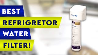 5 Best Refrigerator Water Filters!