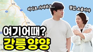 양양으로 귀농한다면?  (sub)