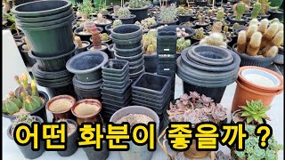 Cactus, succulent plants, etc. Flowerpot characteristics, various flower pots.