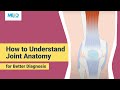 How to understand joint anatomy for better diagnosis