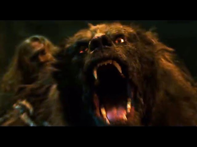 Werebear Transformation Bear Man Preview Realtime Character
