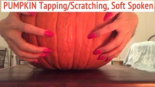 ASMR * PUMPKIN Scratching * Fast Tapping \u0026 Scratching * Soft Spoken * ASMRVilla