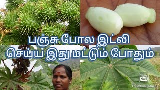 #பஞ்சு போல இட்லி செய்ய இது ஒரு விதை மட்டும் போதும்.