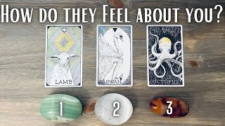 Their Current FEELINGS for You!! Pick A Card * in Depth Love Tarot Reading