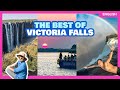 Top 10 Things to Do in VICTORIA FALLS (Zimbabwe, Zambia) • The Poor Traveler English (Africa)