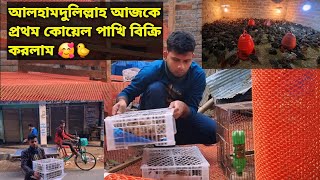 আলহামদুলিল্লাহ আজকে প্রথম কোয়েল পাখি বিক্রি করলাম 🥰🐤 #sahin_showkat