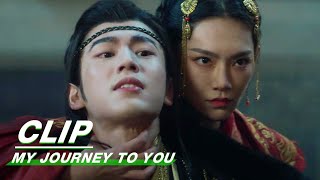 Miyako Yu was Almost Assassinated | My Journey to You EP02 | 云之羽 | iQIYI