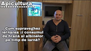 Cum supraveghez iernarea albinelor și consumul de hrană pe timp de iarnă?