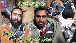 Rawalpindi Bird Market || Sailkoti Motia Wale || Dubwaley Kabootar || 03115476938