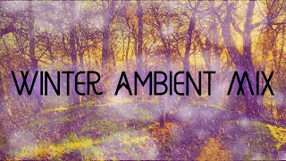 Winter Ambient Music Mix | Feat. Boards of Canada, Ólafur Arnalds, Jon Hopkins, Burial, Bibio, etc.