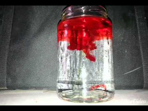 What happens to the food coloring dropped in the bottle containing water after one day?