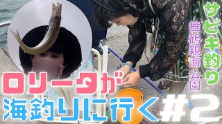 【サビキ釣り】ロリータの海釣り#2/さばいて天ぷら【舞鶴親海公園】