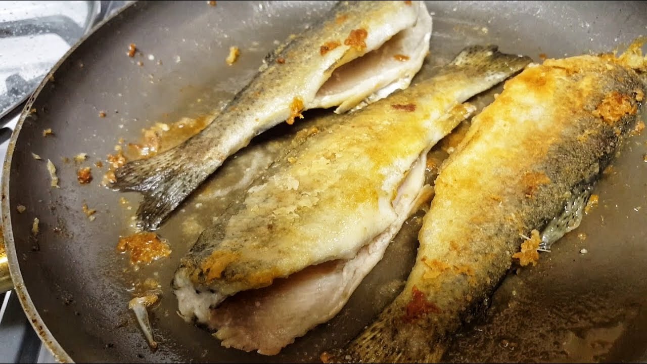 Catch And Cook Youtube