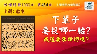 【秒懂楞嚴 #464日】輪迴系統之十二種選項：胎生 – 胎因情有 你還要來輪迴嗎? 見輝法師 字幕版