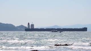 Bulk　Carrier  　  OCEANIA　MARU