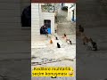 kedİlerle konuŞan adam komik kedi videoları shorts shortsvideo keşfet