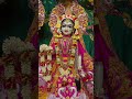 Beautiful Darshan of Sri Sri Radha Madhav!!🌸❤️