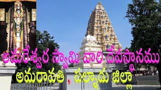 శ్రీ అమరేశ్వర స్వామి వారి ఆలయం|అమరావతి|పల్నాడు జిల్లా|Amaravati  Temple#Amaravati | Palnadu District