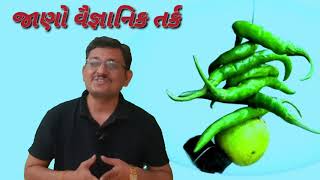 વૈજ્ઞાનિક તર્ક || દરવાજા આગળ લીંબુ- મરચી લગાવવાનું કારણ શું ?