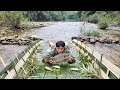 How to trap fish primitively with bamboo. Binh's daily life | Bình - Building new life