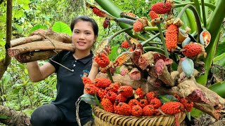 Harvest Herbs Goes to the market to sell - Welcoming 1 month old chicks | Trieu Thi Thuy