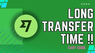 Why Wise Transfer Takes So Long