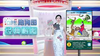 第005期 --【澳门跑狗图】小龙女来给你解图啦！😘