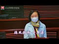 【華哥好歌聽】｢倉鼠想放生｣ （原曲：尖沙咀susie 許冠傑） 詞：華哥 唱：陳俊傑