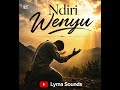 Ndiri Wenyu - Lyma Sounds | Powerful Shona Worship Track.
