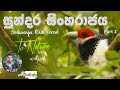 Sinharaja Rainforest  (Part 1)