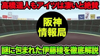 【一体何者と衝撃の声続出】阪神ファンの度肝を抜いた育成4年目の伊藤稜を徹底解説!!