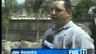 Salt Water Pools - Fox 11 News 2004