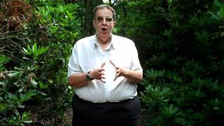 Software Design and Development - P6 Overview