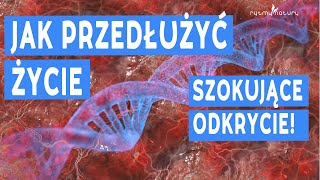 Jak przedłużyć życie - szokujące odkrycie!