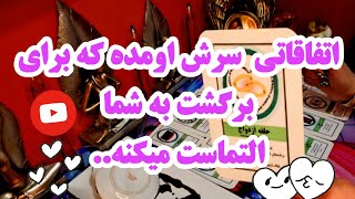 آرامش فال_ اتفاقاتی سرش اومده که برای برگشت به شما التماست می‌کنه!.‌‌🔮🪄🤯☕️🍻💔💔🦂🐍