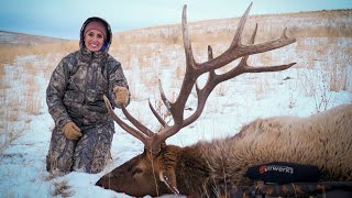 2019 IDAHO BULL ELK HUNT!!