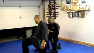 Bujinkan Butoku Dojo training # 80