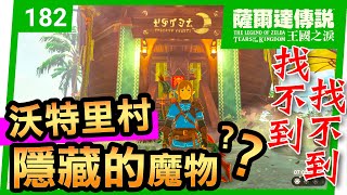 【薩爾達傳說 王國之淚】182-林克大作戰！拯救/重建沃托里村(Tears of the Kingdom)