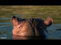 LIVE at the waterhole - 22 April 2026