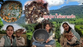 30 พฤศจิกายน ค.ศ. 2024 หาขุดดปูนา เเละต้มก๋วยจั๊บ/ຫາຂຸດປູນາທຸກຄົນ