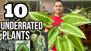 10 UNDERRATED PLANTS | PLANTS NA MURA PERO DI MAGPAPA HULI SA GANDA