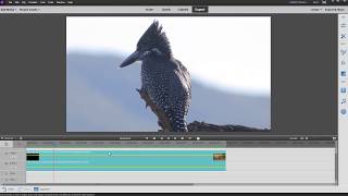 Creating an Instant Video using Premiere Elements