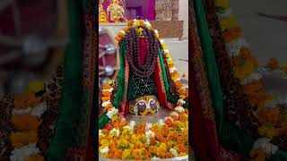 🔱शिव दर्शन 🙏 #mahadev  📿 #mahakal  ✨ #mahadevstatus ♥️ #reels  #religion #kalbhairavtemple 🙏🙏