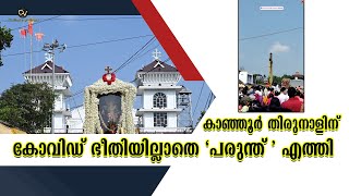 കാഞ്ഞൂർ തിരുനാൾ പ്രദക്ഷിണത്തിനു ആൾക്കൂട്ടം ഒഴിവാക്കിയെങ്കിലും  പരുന്തുകൾ പതിവ് പോലെയെത്തി