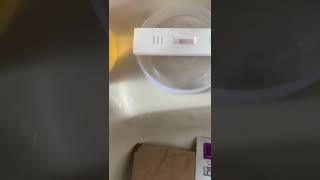 Positive pregnancy Test or Faint line or Evap line? Can you see it ? TTC After Miscarriage