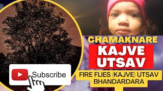 KAJVE UTSAV (FIREFLIES)#vlog #firefly #trip #bhandardara #beautiful #function #nashik #nature